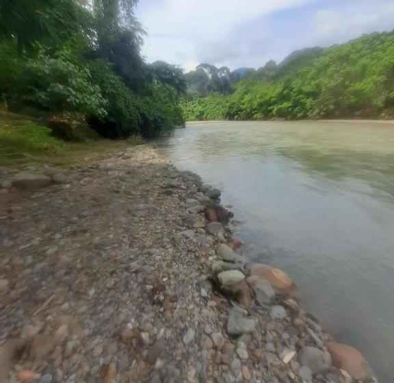 Номер Стандарт Вид на Горы, Barus Jungle View