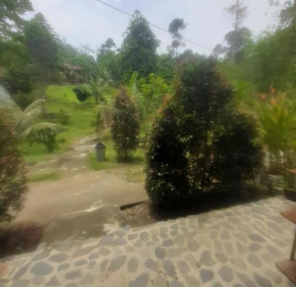 Номер Стандарт Вид на Горы, Barus Jungle View