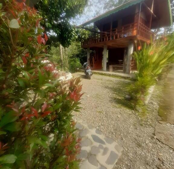 Номер Стандарт, Barus Jungle View