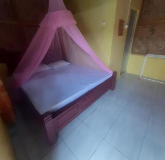 Номер Стандарт, Barus Jungle View