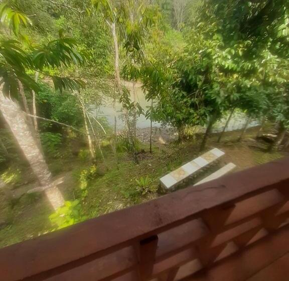 Номер Стандарт, Barus Jungle View