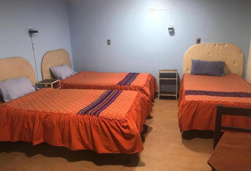 اتاق استاندارد سه نفره, Eucalyptus Potosi