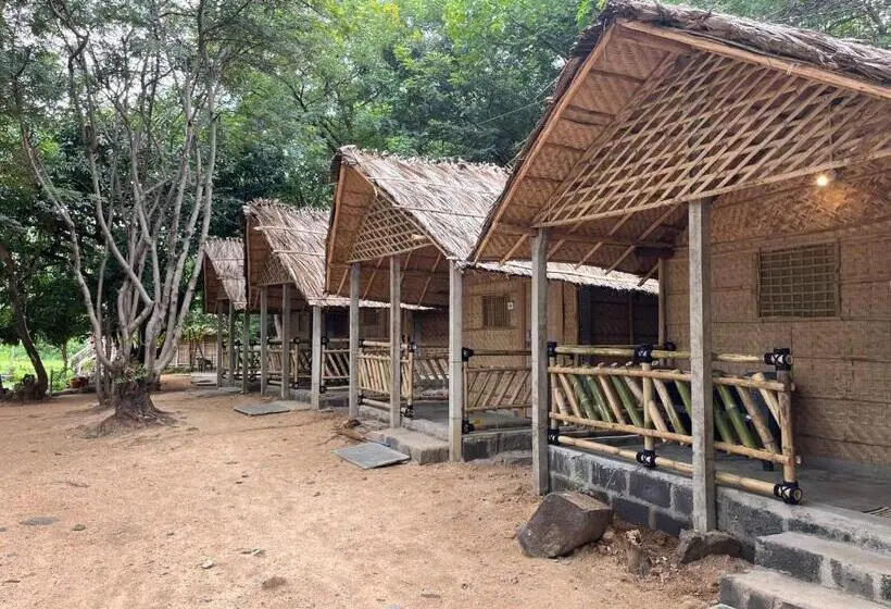 エコノミールーム, Happy Place Hampi