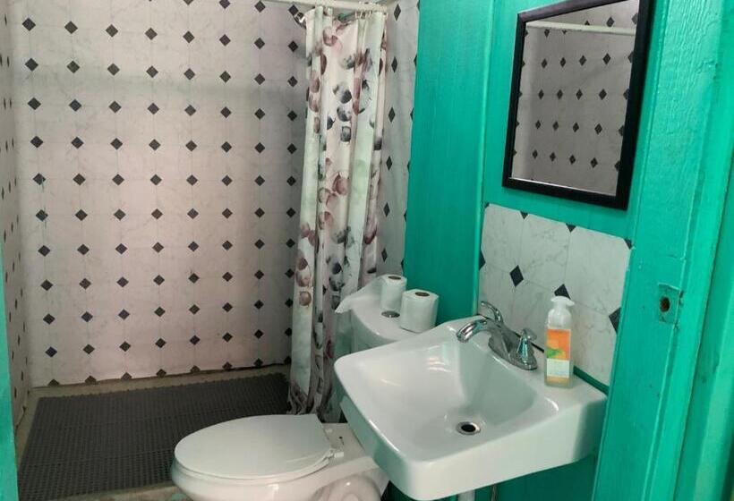 غرفة إقتصادية, Simple Rustic Studio Deluxe Bed In Tropical Fruits Garden