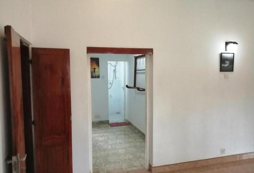 חדר יחיד נוף לגינה, Sheldon House