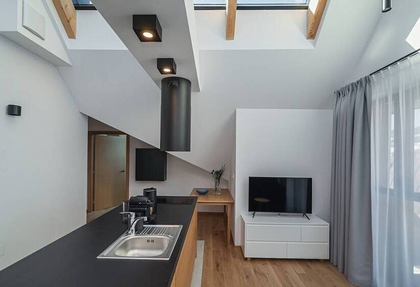1 Bedroom Penthouse Apartment, Lipowy Dwór
