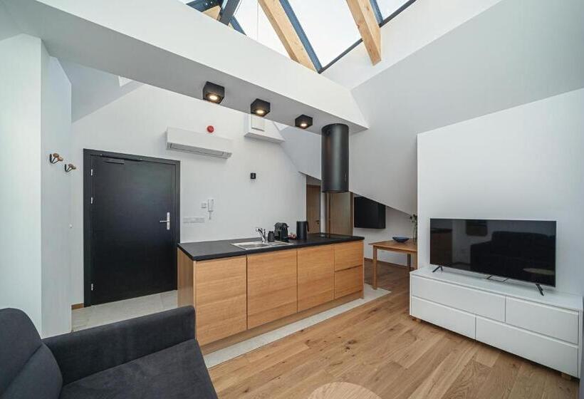 1 Bedroom Penthouse Apartment, Lipowy Dwór
