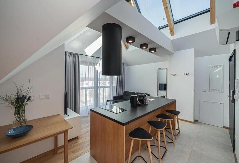 1 Bedroom Penthouse Apartment, Lipowy Dwór