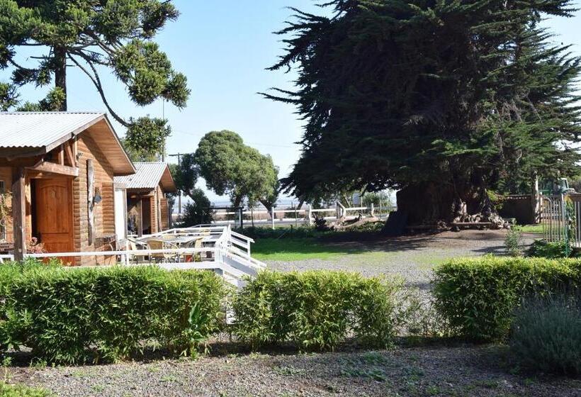 一居室别墅, Ciprés Del Médano