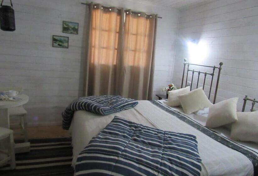 标准间, Ciprés Del Médano