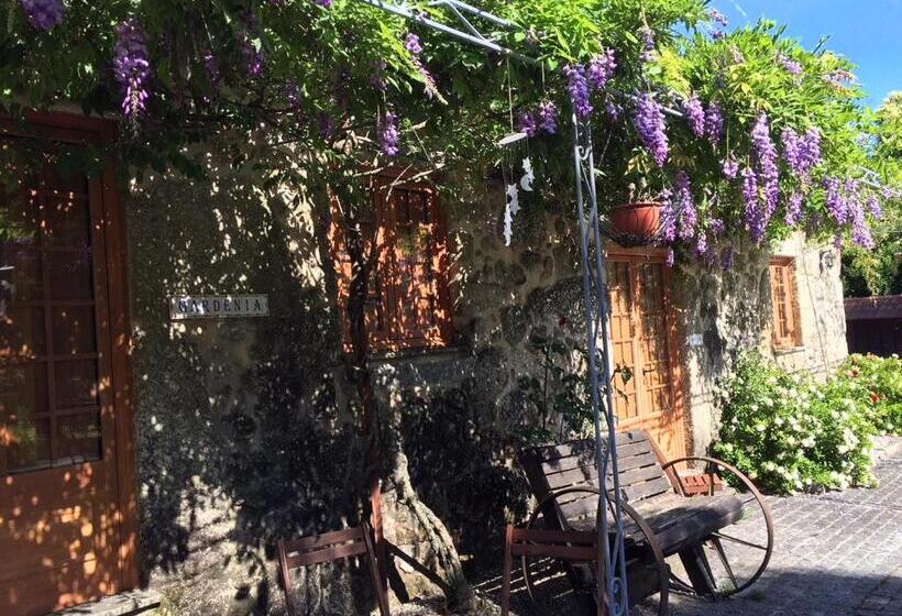 Бунгало Стандарт Вид на Сад, Rosa Y Gardenia   Solo Adultos