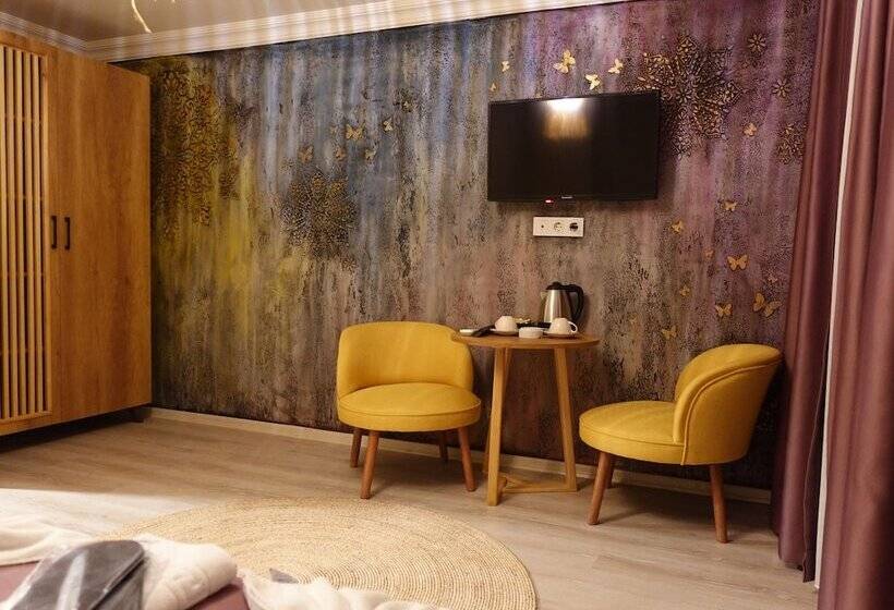 غرفة قياسية, Karamazov Antik Otel