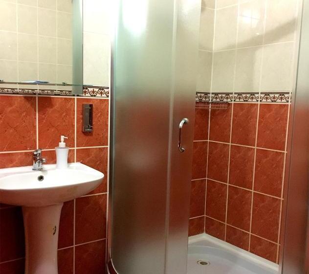 חדר סטנדרט עם מיטת קינג, Motel Karpaty