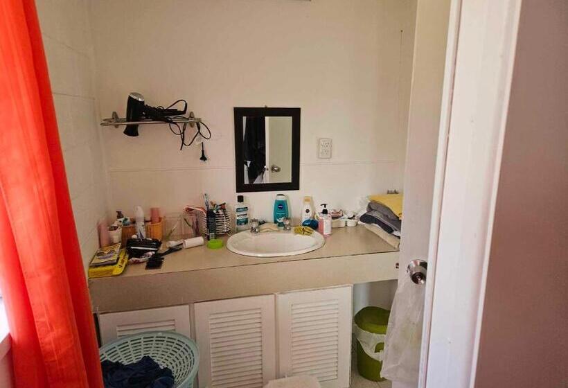 اتاق استاندارد یک نفره, Mirimiri Spa Homestay