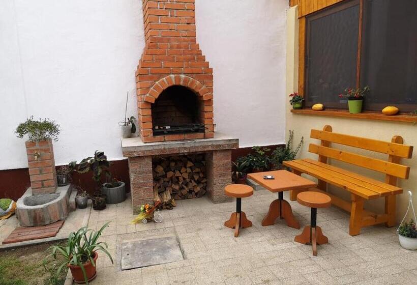 Номер Стандарт с Балконом, Casa Piatra Craiului