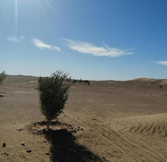 اتاق استاندارد چهار تخته, Camp Iguidi Tours