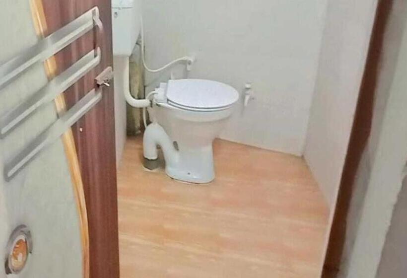 トリプルクラシックルーム, Oyo Dp