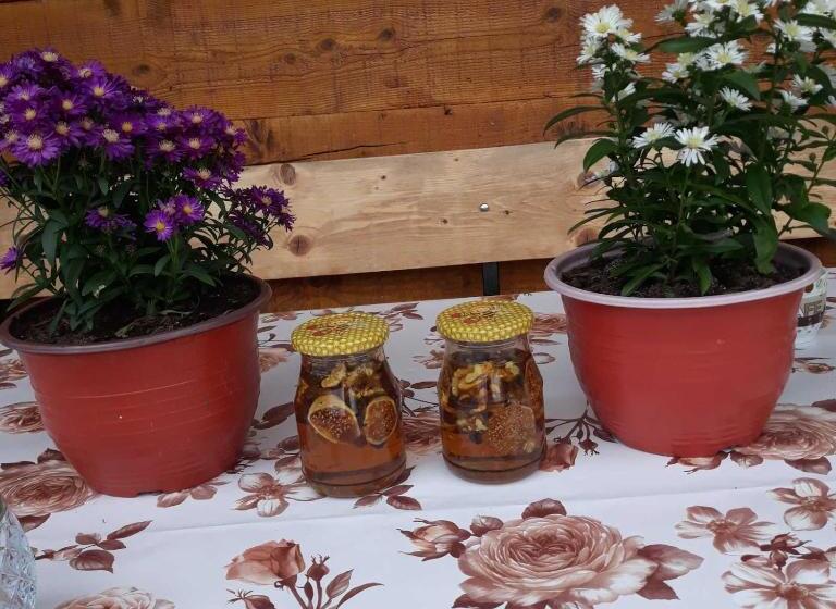 اتاق خانوادگی, Household Ušćumlić Oaza Mira