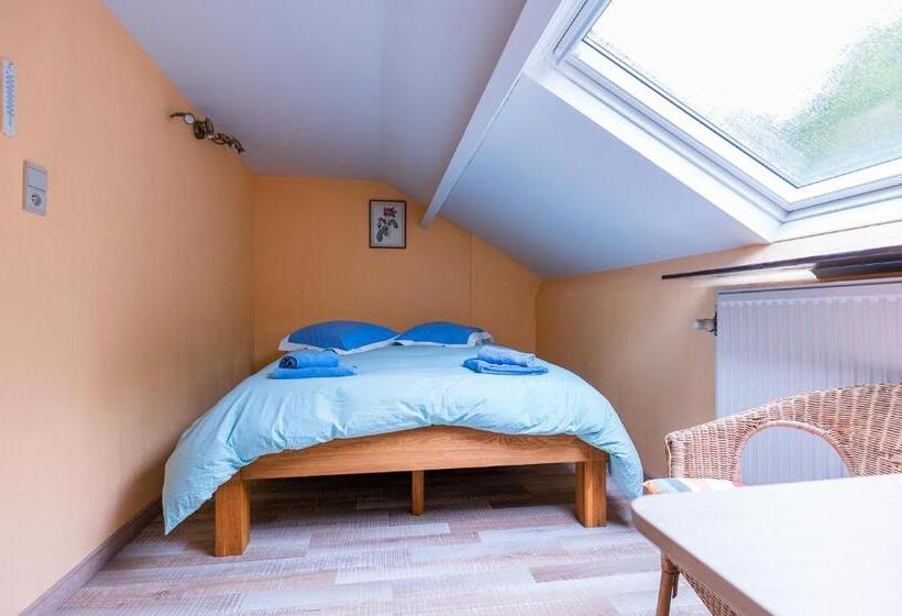 Номер Стандарт, Orval16