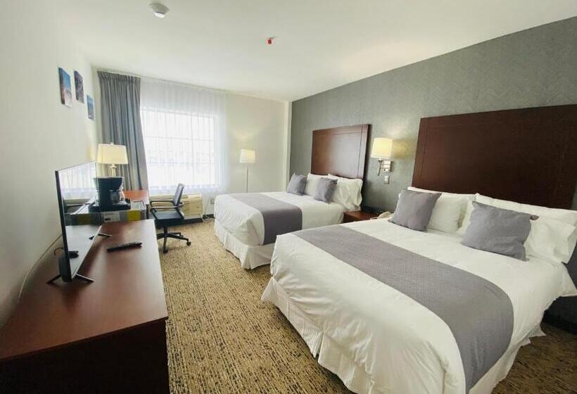 4인용 스탠다드 룸, La Quinta By Wyndham Reynosa