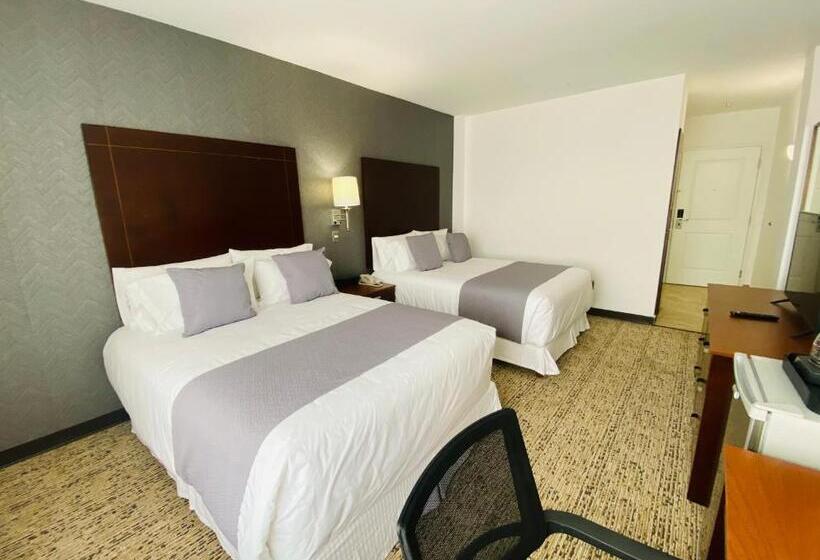 4인용 스탠다드 룸, La Quinta By Wyndham Reynosa