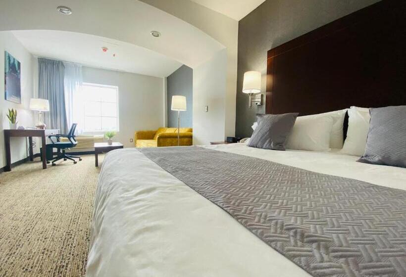 주니어 스위트, La Quinta By Wyndham Reynosa