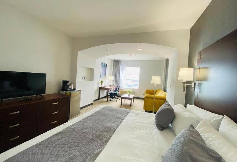 주니어 스위트, La Quinta By Wyndham Reynosa