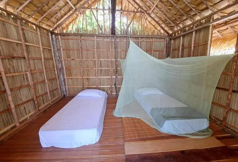 Deluxe-huone, Coco Huts Guest House