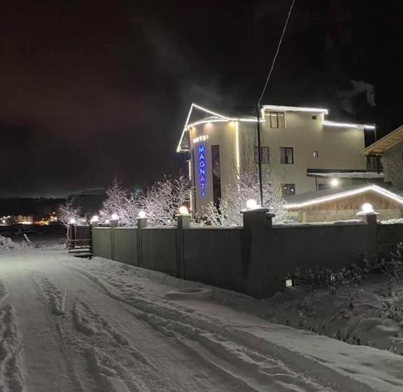 اتاق استاندارد, Magnati