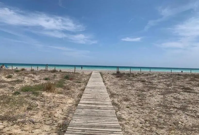 اتاق استاندارد یک نفره, Sagunto 2
