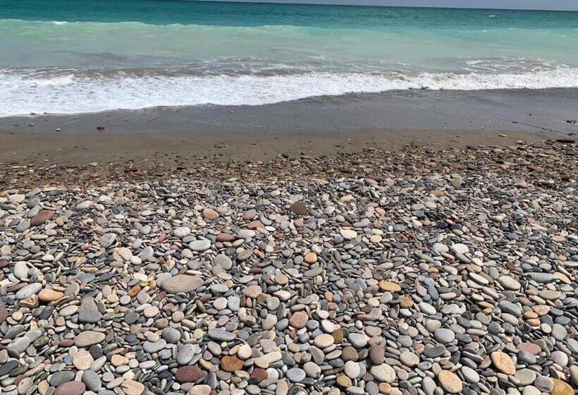 اتاق استاندارد, Sagunto 2