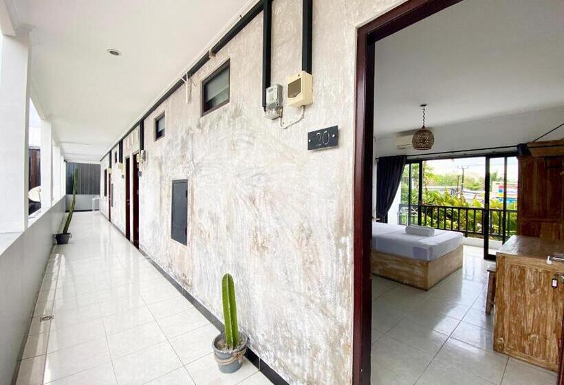 חדר סטנדרט, Summer Of Surf