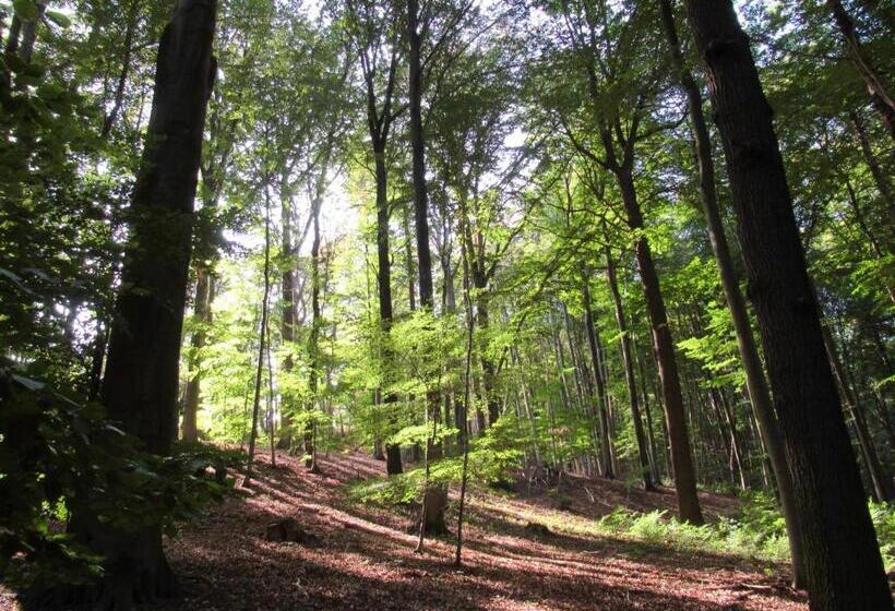 דירה בת חדר שינה 1 עם נוף, Haus Musica