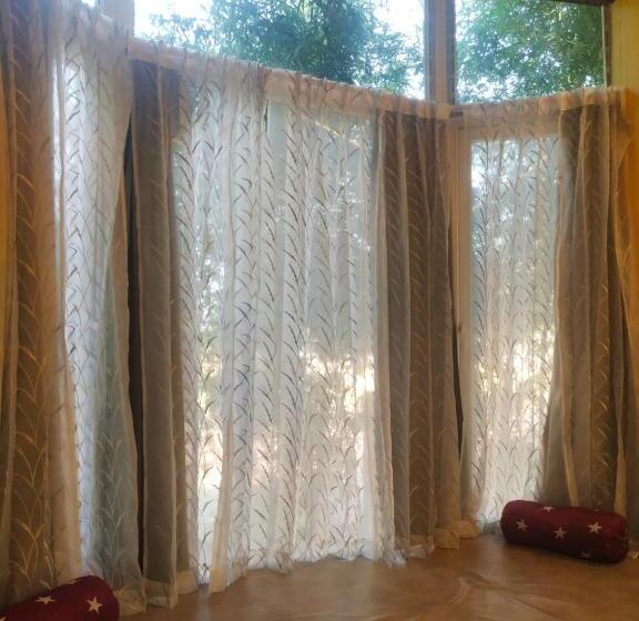 סוויטה נוף לבריכה, Olive