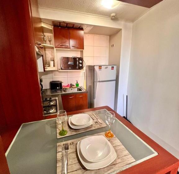 דירת חדר דלוקס, Tremo Santiago Suite Aparment
