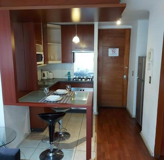 آپارتمان لوکس 1 خوابه, Tremo Santiago Suite Aparment
