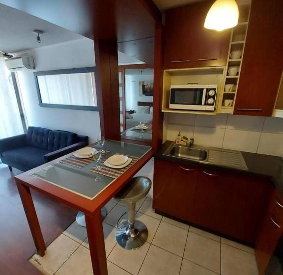 דירת חדר דלוקס, Tremo Santiago Suite Aparment
