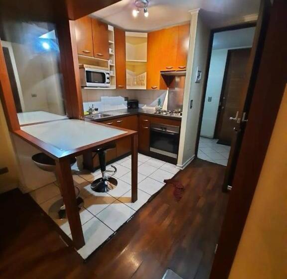 דירת חדר דלוקס, Tremo Santiago Suite Aparment