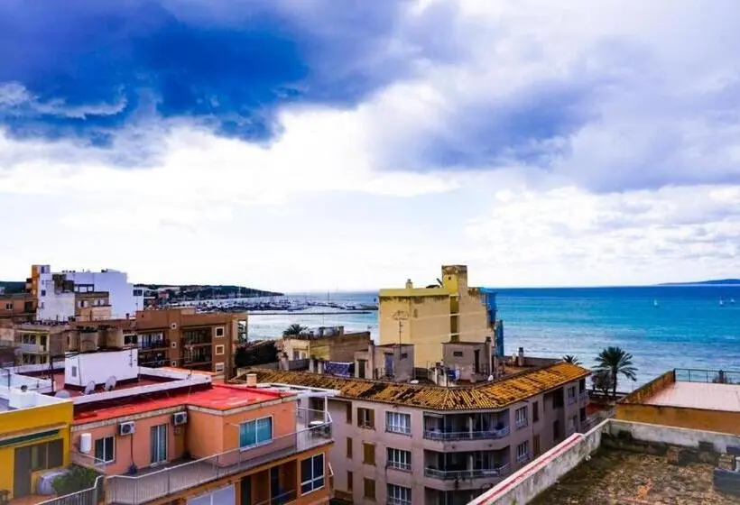 Standard-huone, Level Mallorca  Living