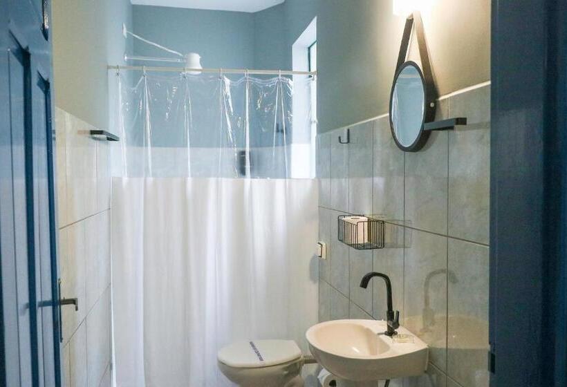 スタンダードルーム, Metro