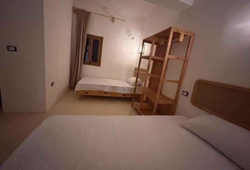 اتاق استاندارد, Reels