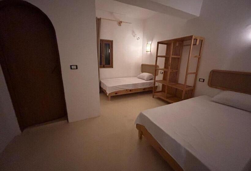 اتاق استاندارد, Reels