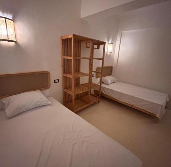 اتاق استاندارد, Reels