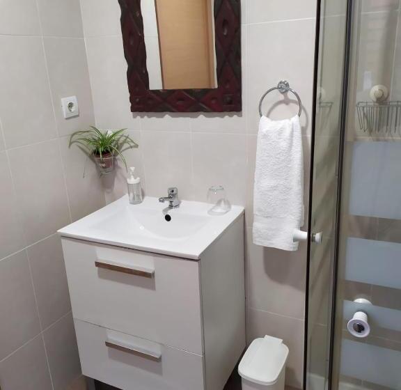 اتاق استاندارد با سرویس بهداشتی مشترک, Alojamiento Oviedo 1