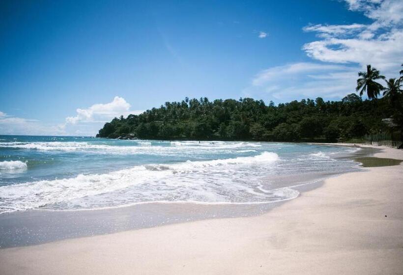 Номер Deluxe Вид на Море с Балконом, Calma   Surf, Yoga & Coffee On A Private Beach