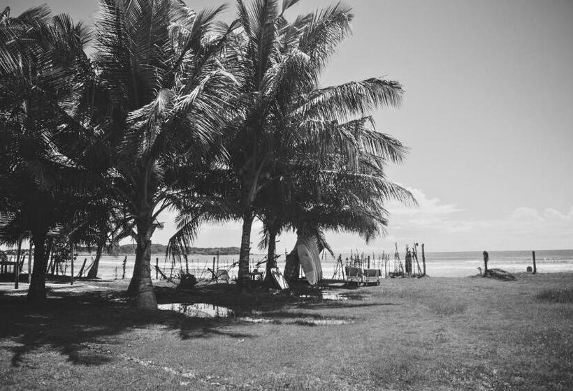 디럭스 테라스 룸 바다 전망, Calma   Surf, Yoga & Coffee On A Private Beach