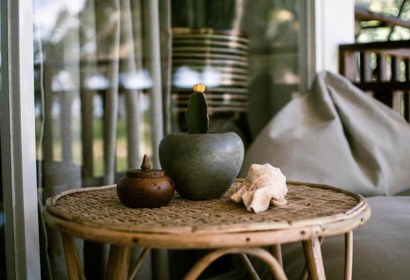 디럭스 테라스 룸 바다 전망, Calma   Surf, Yoga & Coffee On A Private Beach