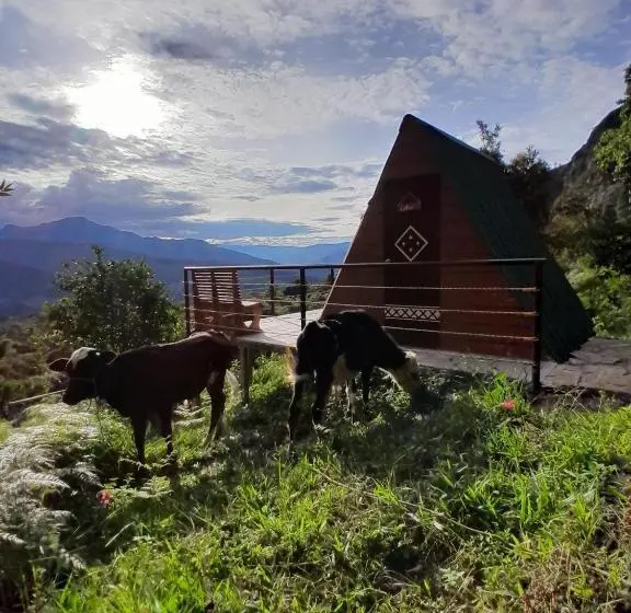 バルコニー付きスタンダードルーム, Mamaterra Glamping