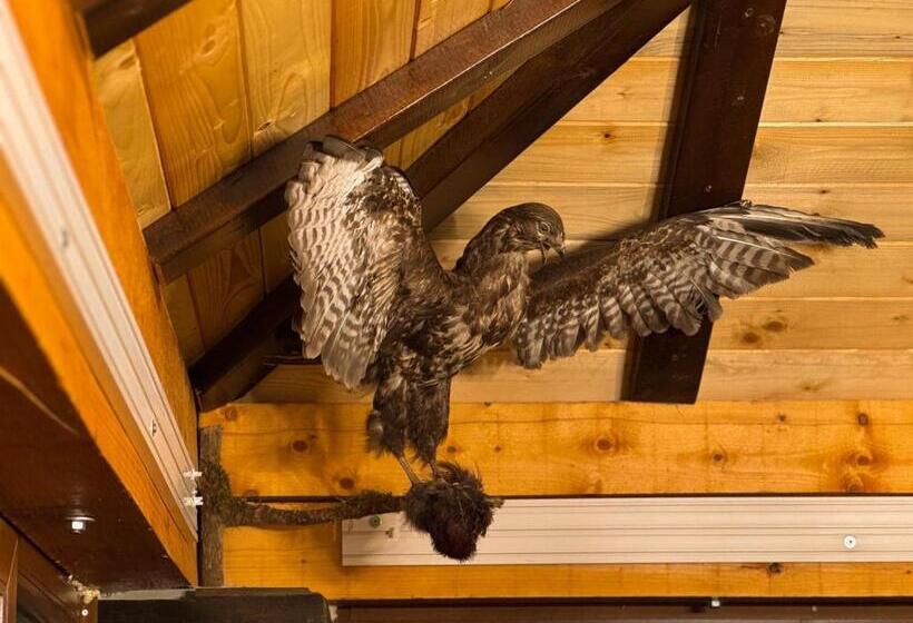 استودیو استاندارد با بالکن, Ice Dream Apartmani