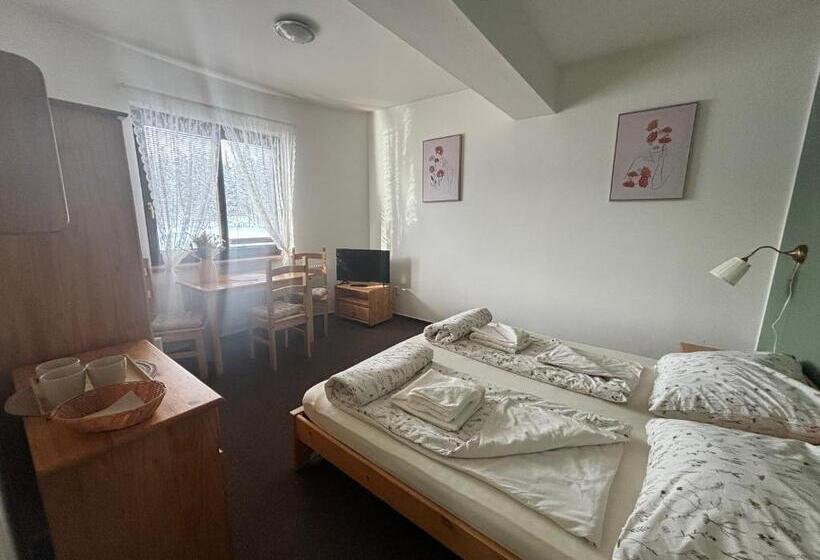 חדר סטנדרט לשלושה, Penzion Verde Rosa